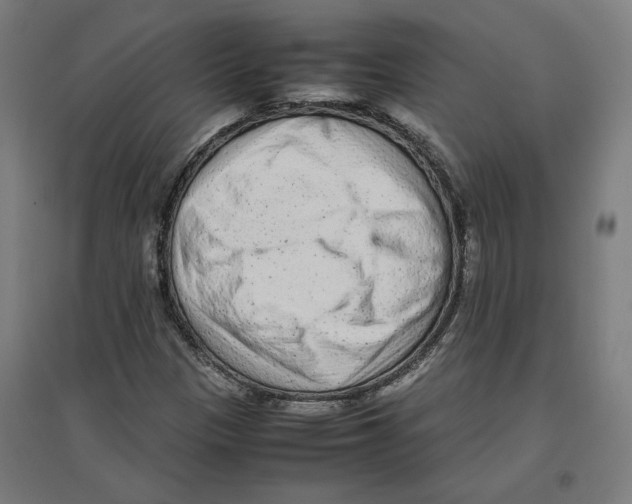 X0000096731305200803041214