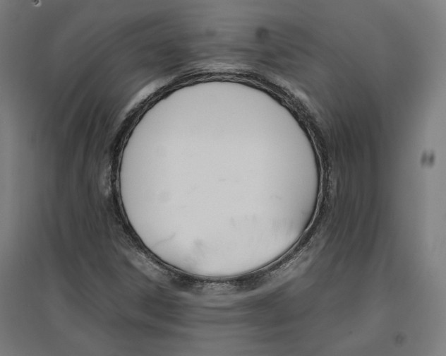 X0000096731306200803041214