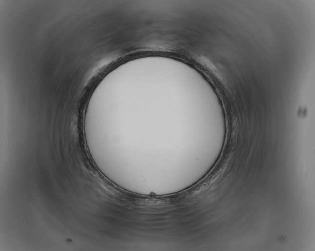 X0000096731307200803041214