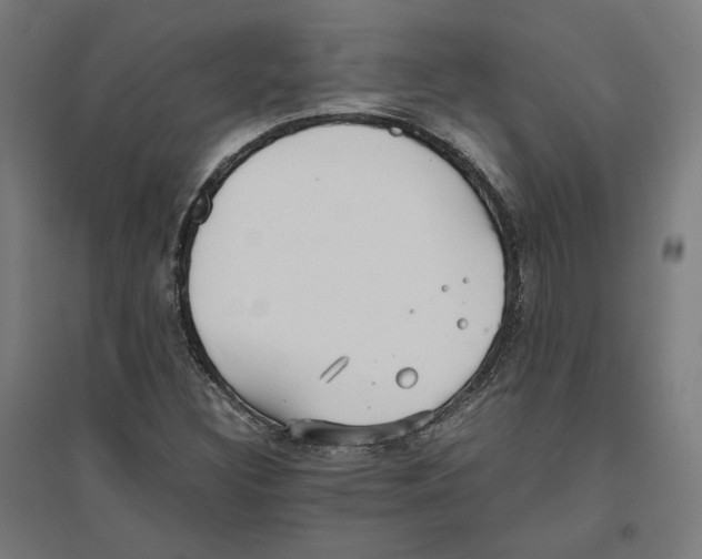 X0000096731308200803041214