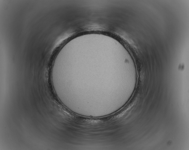 X0000096731309200803041214
