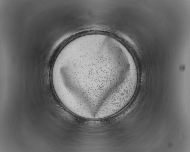 X0000096731310200803041214