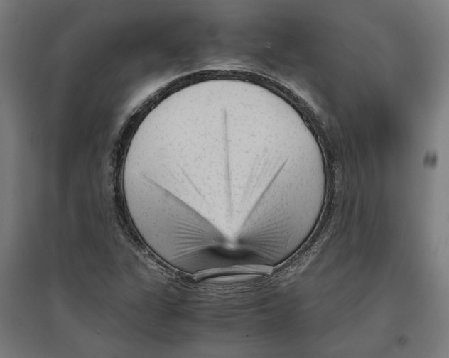 X0000096731311200803041214
