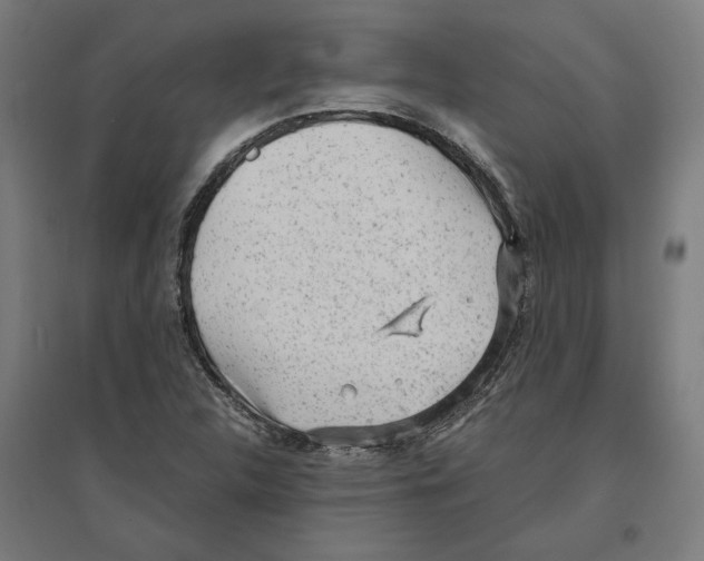X0000096731312200803041214