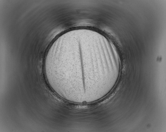 X0000096731313200803041214