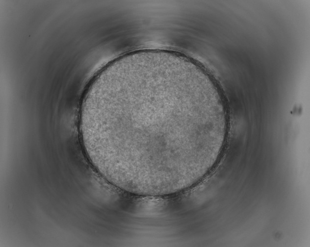 X0000096731314200803041214