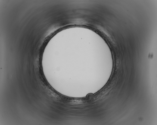 X0000096731315200803041214