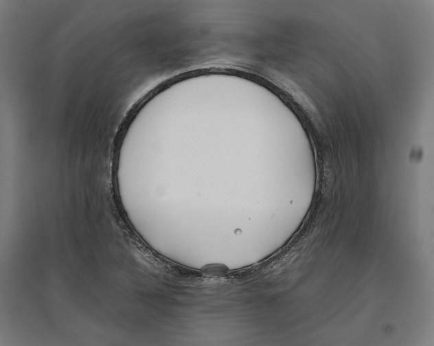 X0000096731316200803041214