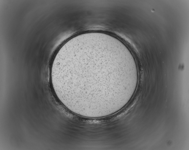X0000096731317200803041214