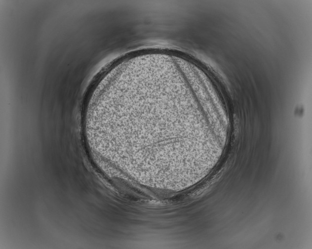 X0000096731318200803041214