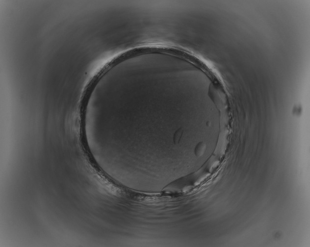 X0000096731319200803041214