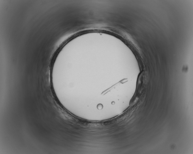 X0000096731320200803041214