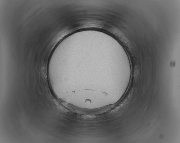 X0000096731321200803041214