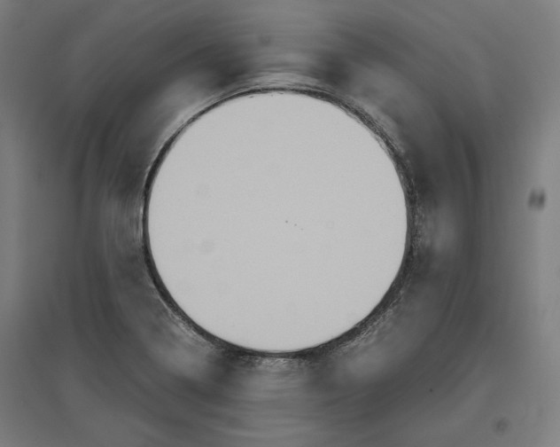 X0000096731322200803041214