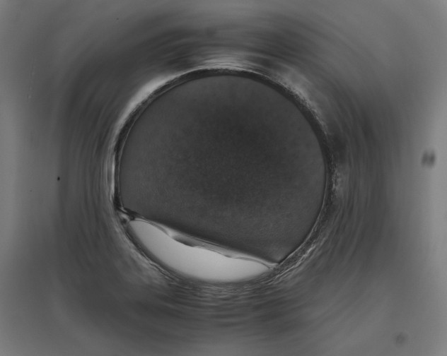 X0000096731323200803041214