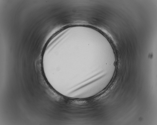 X0000096731325200803041214