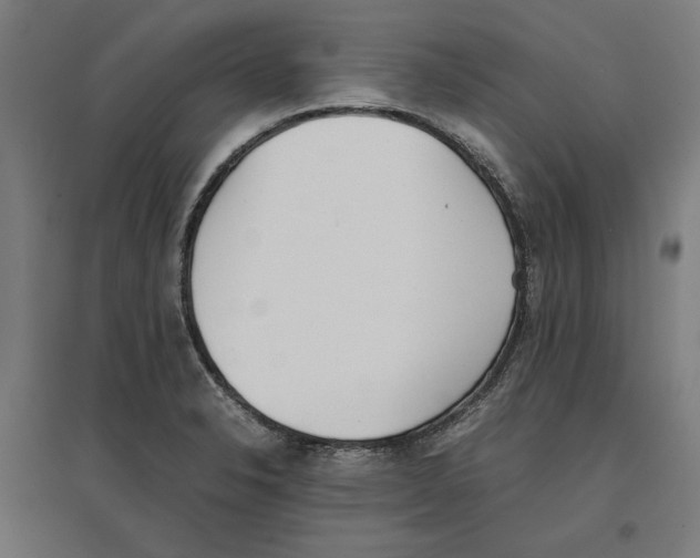 X0000096731326200803041214