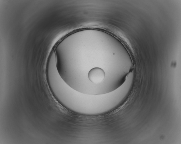 X0000096731328200803041214
