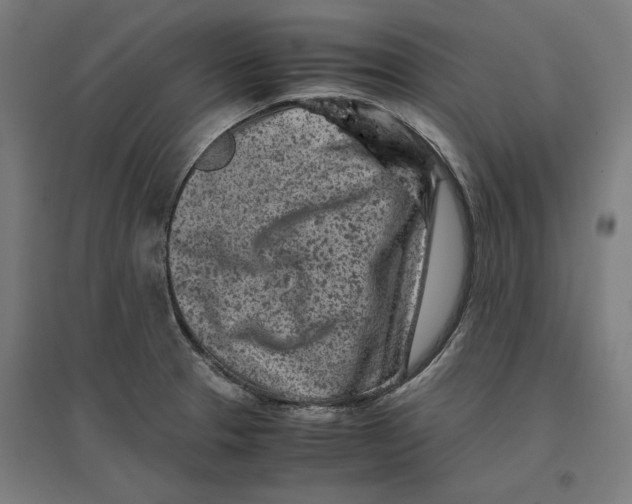 X0000096731329200803041214