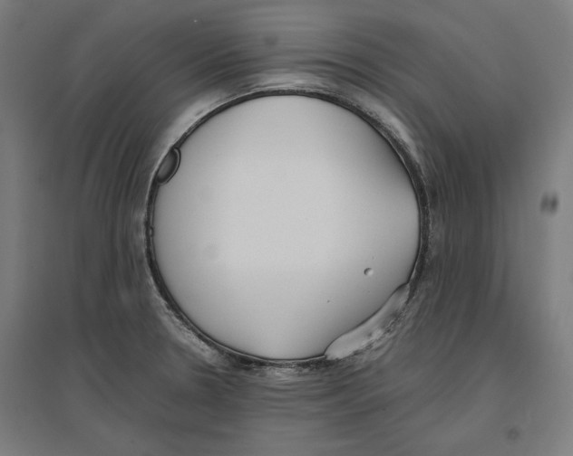 X0000096731330200803041214
