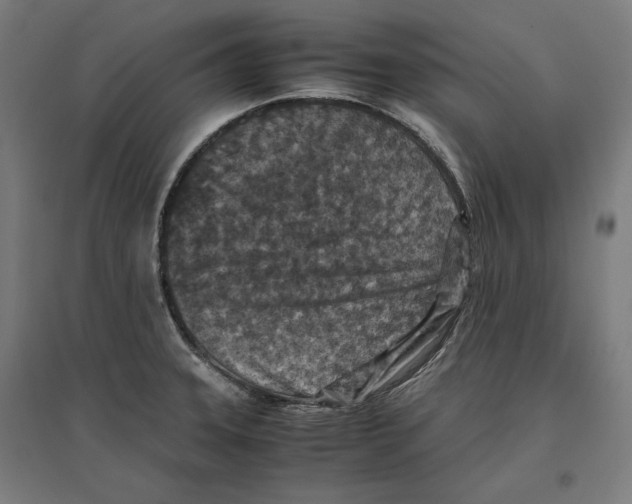 X0000096731331200803041214