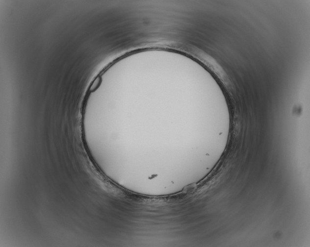 X0000096731332200803041214