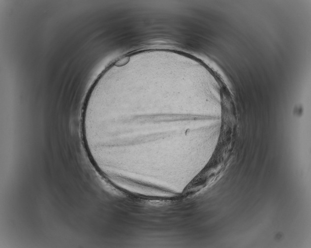 X0000096731333200803041214
