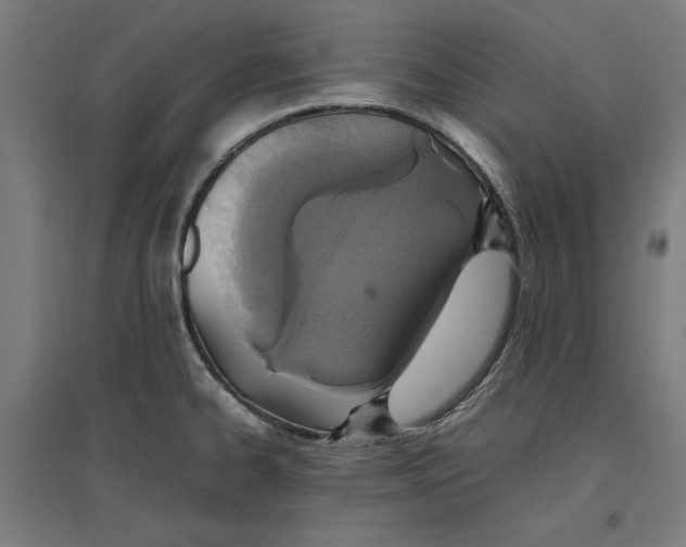 X0000096731334200803041214