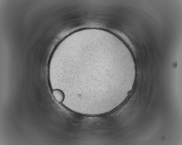 X0000096731335200803041215