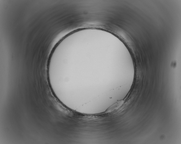 X0000096731336200803041215