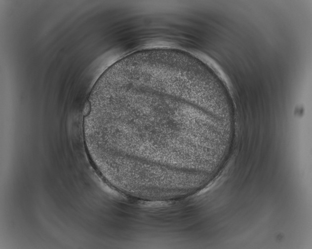 X0000096731337200803041215