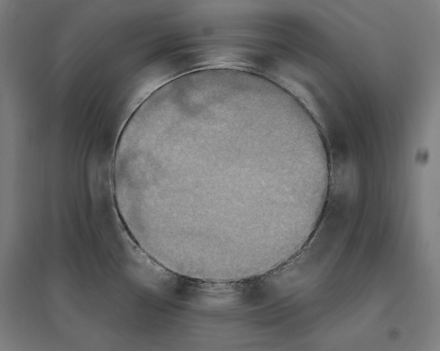 X0000096731338200803041215