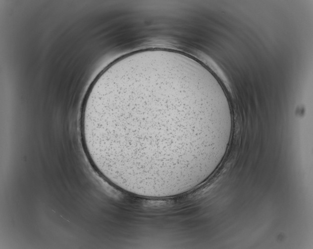 X0000096731339200803041215