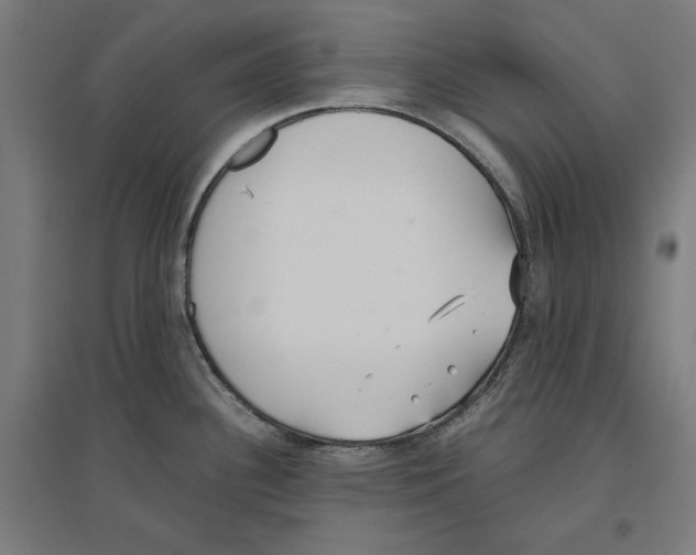 X0000096731340200803041215