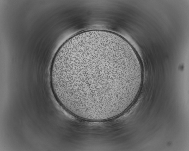 X0000096731341200803041215