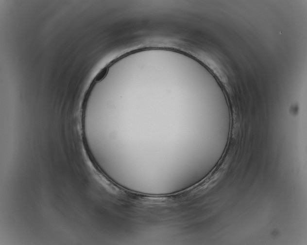 X0000096731342200803041215