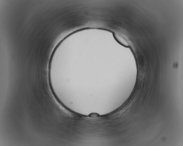 X0000096731343200803041215