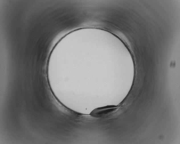 X0000096731344200803041215