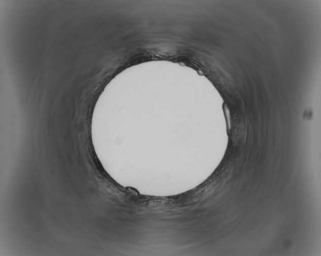 X0000096731345200803041214