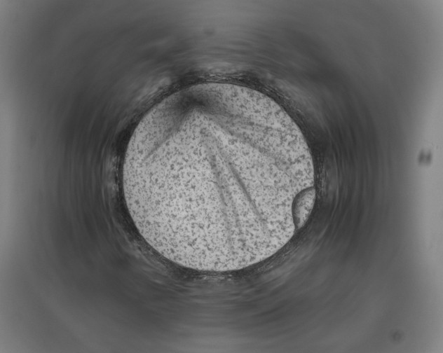 X0000096731346200803041214