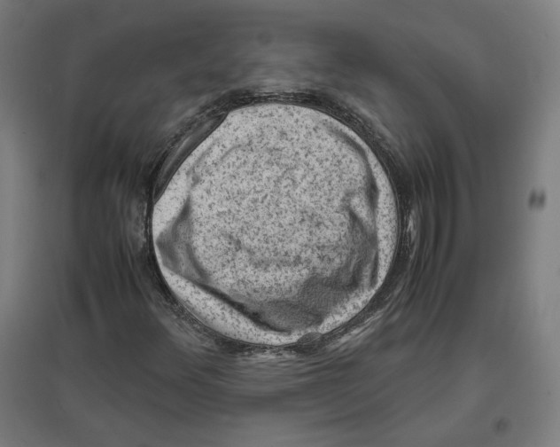 X0000096731348200803041214