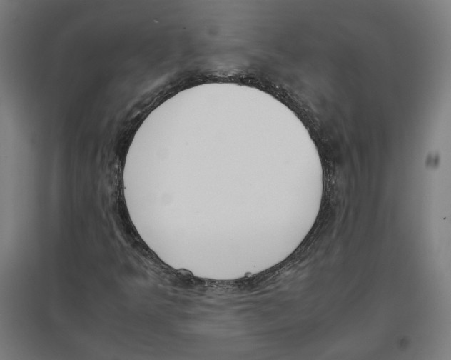X0000096731349200803041214
