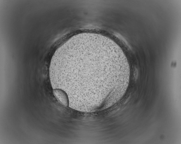 X0000096731350200803041214