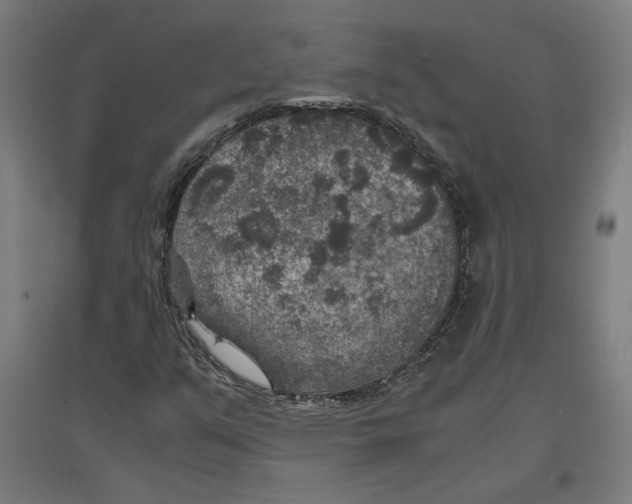 X0000096731351200803041214