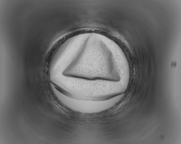 X0000096731352200803041214
