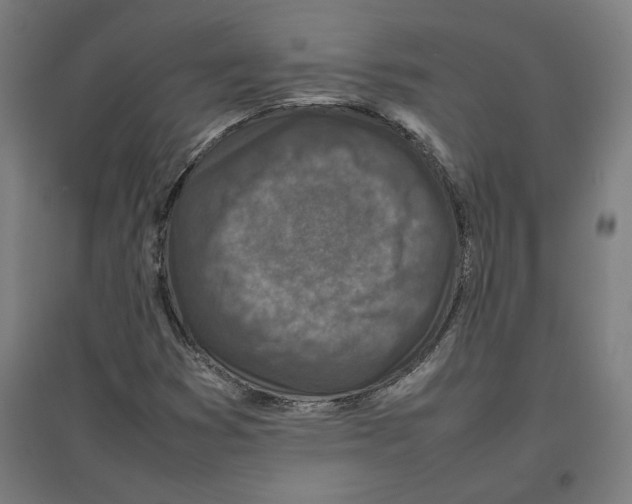 X0000096731353200803041214