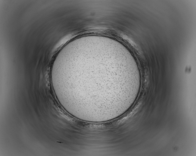 X0000096731354200803041214