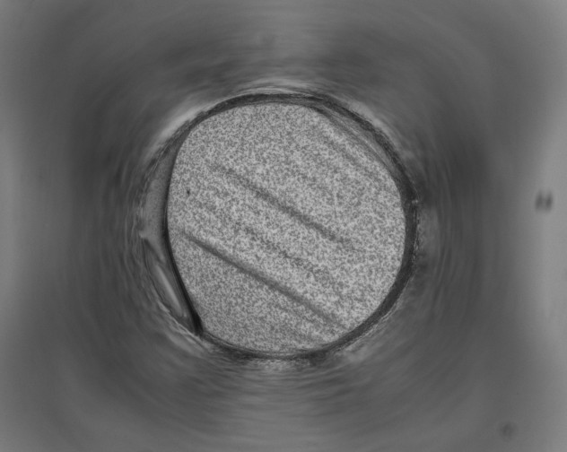 X0000096731355200803041214