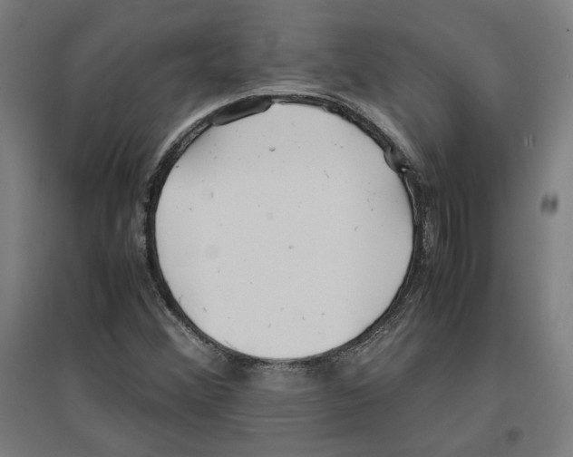 X0000096731356200803041214