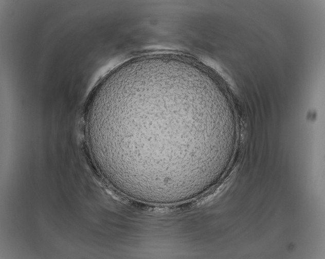 X0000096731357200803041214